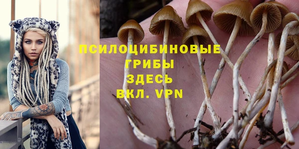 каннабис Алзамай