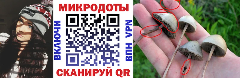 Галлюциногенные грибы GOLDEN TEACHER Котовск