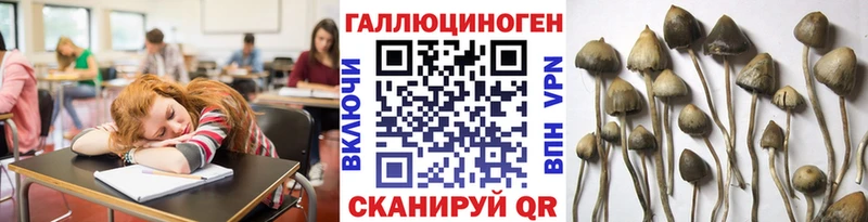 Псилоцибиновые грибы Magic Shrooms  Котовск 